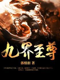 九界至尊封面