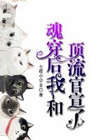 魂穿后我和顶流官宣了封面