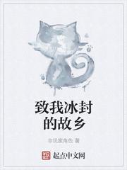 致我冰封的故乡封面