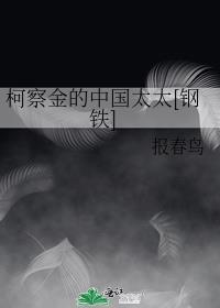柯察金的中国太太[钢铁]封面