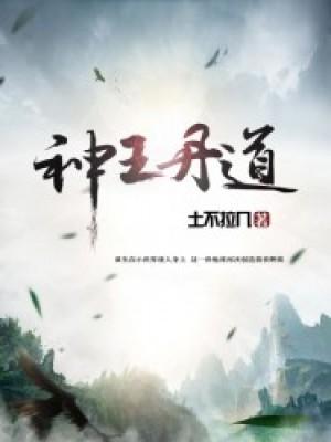 神王丹道叶云封面