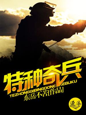 特种奇兵封面