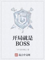 开局就是BOSS封面