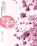 杏花春雨封面