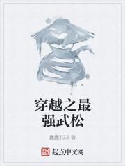 穿越之最强武松封面