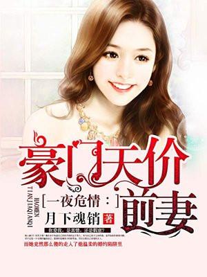 一夜危情:一夜危情:豪门天价前妻封面