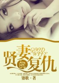 贤妻的复仇封面