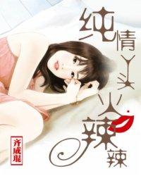 纯情丫头火辣辣封面