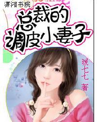 总裁的调皮小妻子封面
