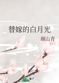 替嫁的白月光封面