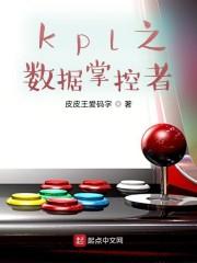 kpl之数据掌控者封面
