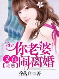 陆总，你老婆又在闹离婚封面