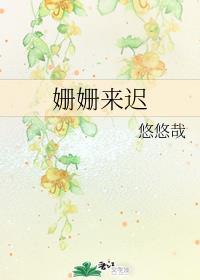 姗姗来迟封面