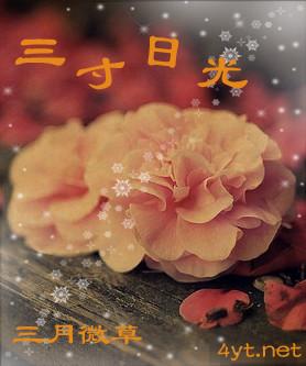 三寸日光封面