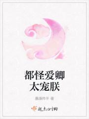 都怪爱卿太宠朕封面