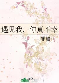遇见我，你真不幸封面