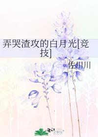 弄哭渣攻的白月光[竞技]封面