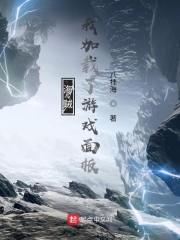 海贼：我加载了游戏面板封面