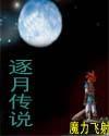 逐月传说封面