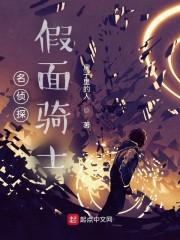名侦探假面骑士封面