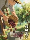 杨梅没了封面