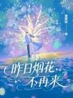 昨日烟花不再来封面