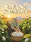 中年被赶出门,我回村养蚕逆袭封面