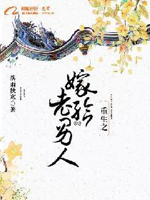 重生之嫁给老男人封面