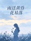 雨送黄昏花易落封面