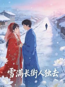 雪满长街人独去封面