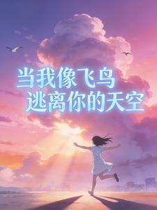 当我像飞鸟逃离你的天空封面