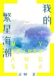 我的繁星海潮封面
