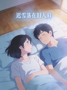 迟雪落在旧人肩封面