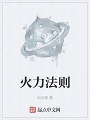 火力法则封面