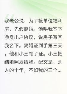 假离婚第三天，我把他们送上法庭封面