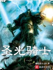 圣光骑士封面