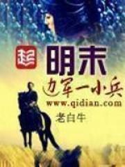 明末边军一小兵封面