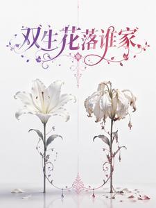 双生花落谁家封面