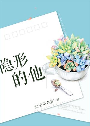 隐形的他封面