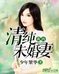 我的清纯未婚妻封面