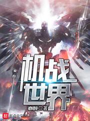 机战之铁华狼王封面