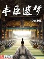 丰臣遗梦封面
