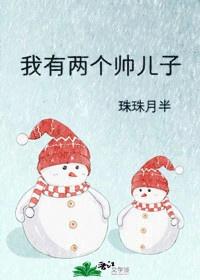 我有两个帅儿子封面