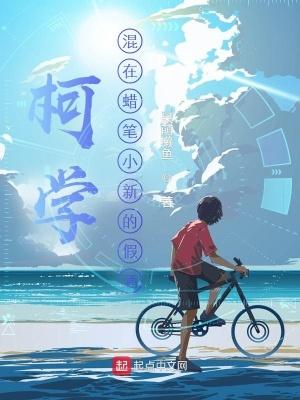欺诈婚姻封面