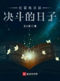 在霍格沃兹决斗的日子封面