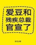 爱豆和残疾总裁官宣了封面