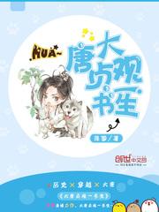 大唐贞观一书生封面