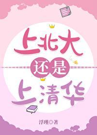 上北大还是上清华封面