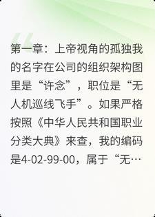 《云端守夜人》封面