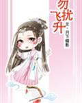 勿扰飞升封面